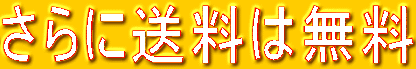 ����ɑ����͖���