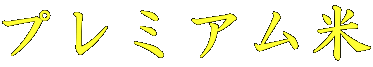 �v���~�A����