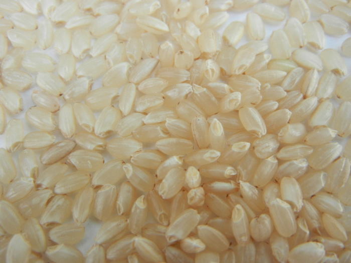 格安！コシヒカリの通販 農家の米が安い